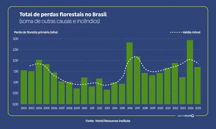 Brasil reduz em 42% perdas florestais em 2025, aponta estudo