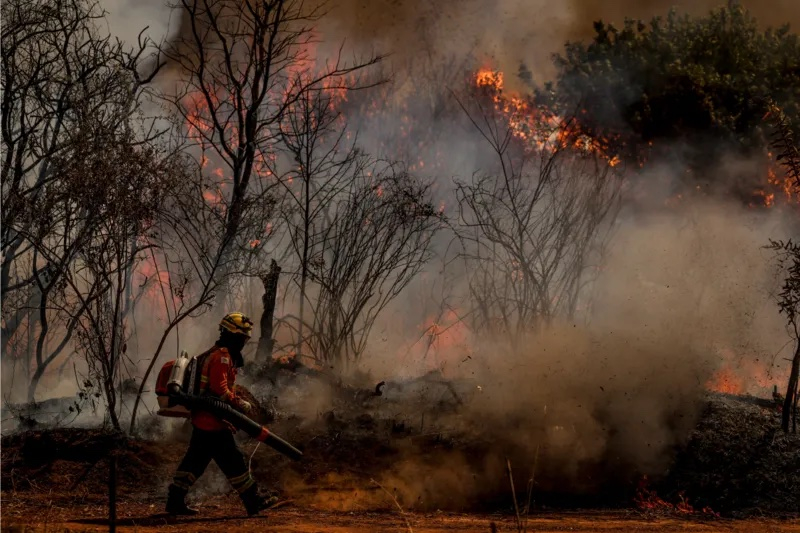 Incêndios na Amazônia são 31% menores que nas últimas 4 décadas