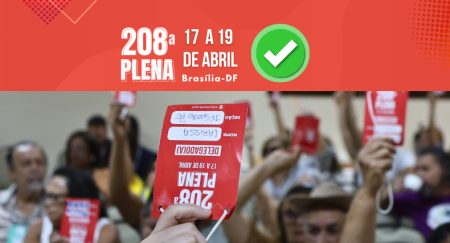 208ª PLENA: deliberações aprovadas